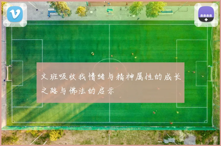 文班吸收我情绪与精神属性的成长之路与佛法的启示
