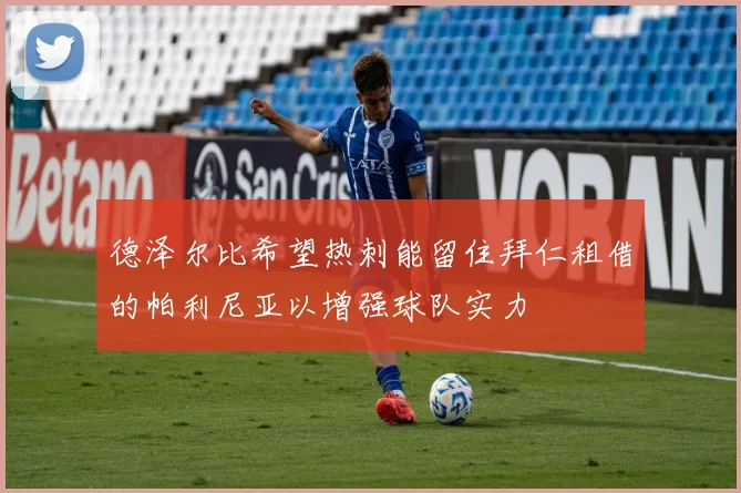 德泽尔比希望热刺能留住拜仁租借的帕利尼亚以增强球队实力